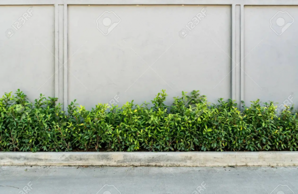 Pagar beton dengan aksen tanaman hijau